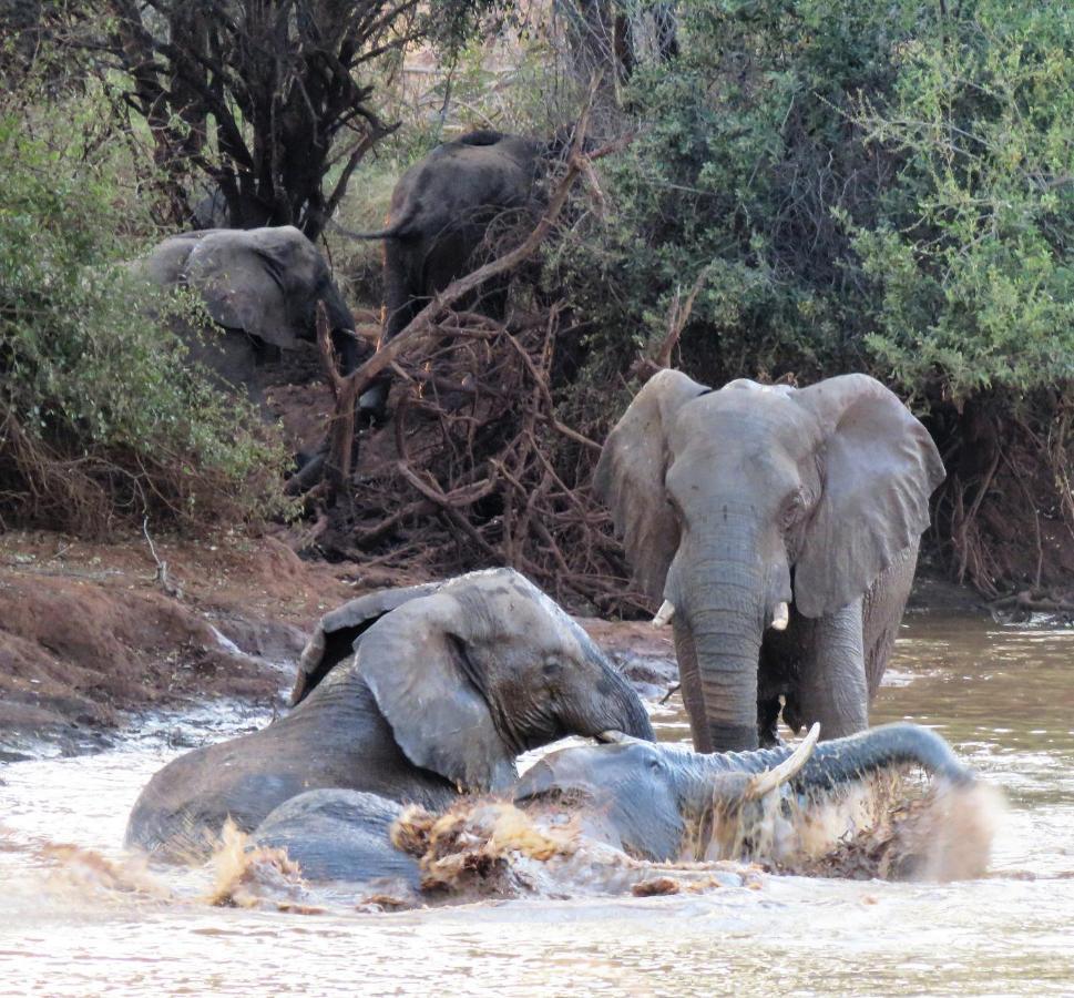 Sable Creek Safari Lodge Tzaneen Kültér fotó