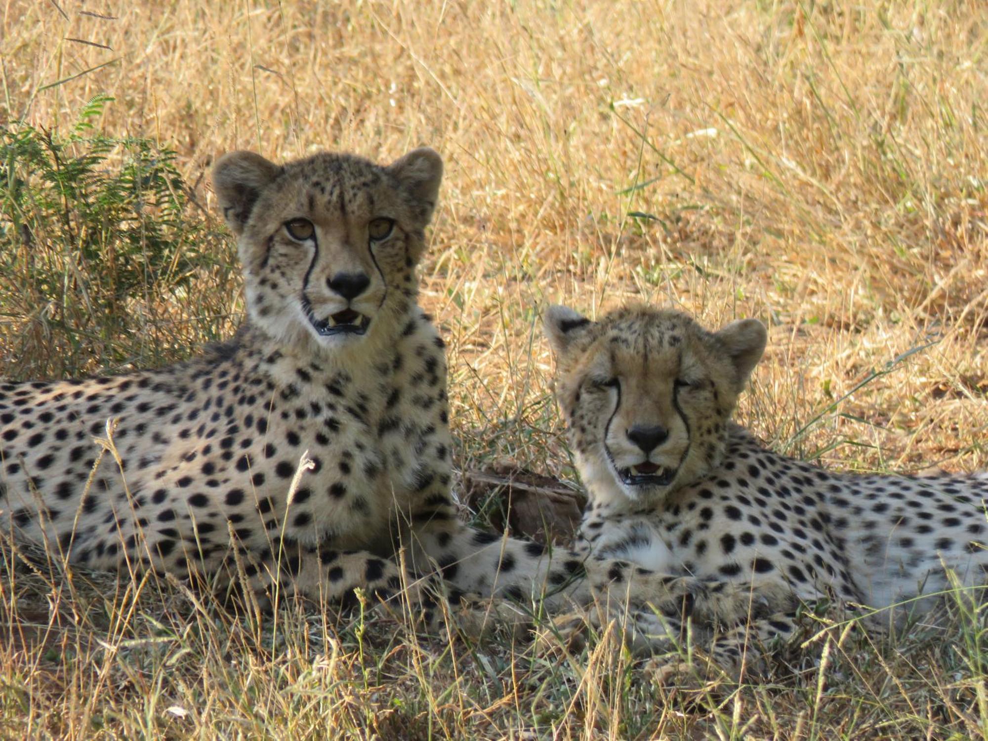 Sable Creek Safari Lodge Tzaneen Kültér fotó