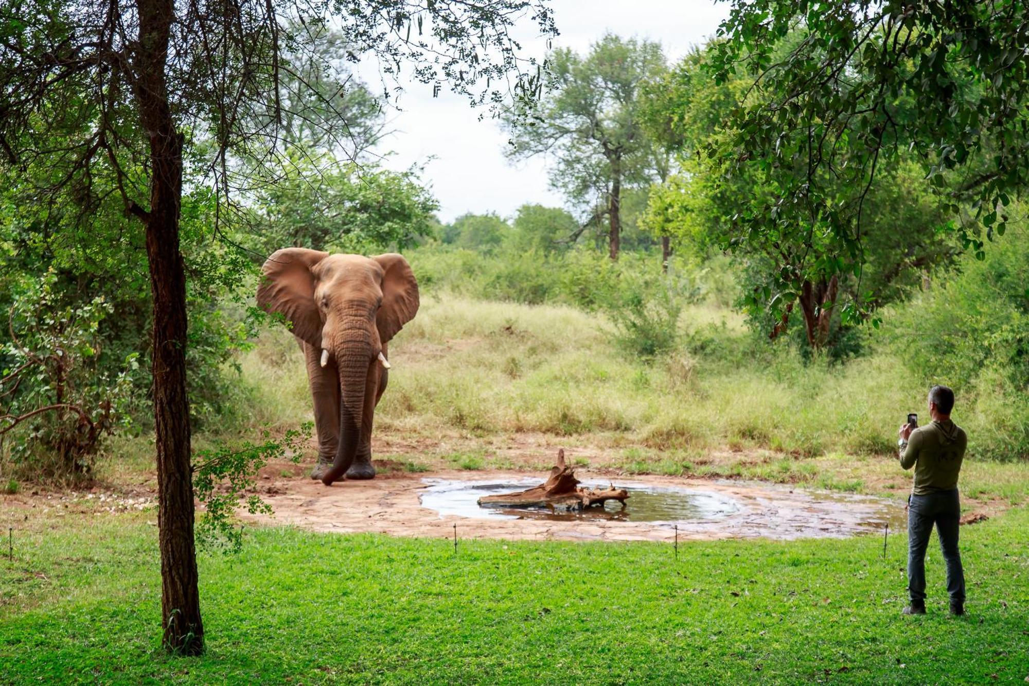 Sable Creek Safari Lodge Tzaneen Kültér fotó